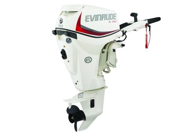 19.jpg 2018 Evinrude E-TEC 30 HP E30DRSL Outboard Motor - Image 1