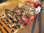RB26DETT Engine & Getrag 6-Speed AWD Trans – R34 GT-R - Image 2